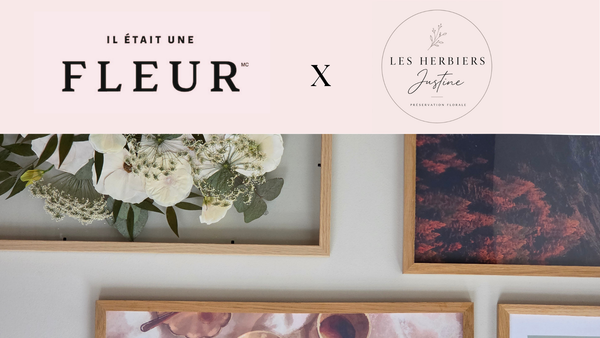 Cadres de fleurs