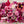 Load image into Gallery viewer, Fleurs locales comestibles (commande 48h à l'avance)
