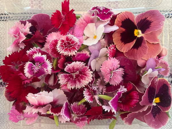 Fleurs locales comestibles (commande 48h à l'avance)