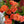Charger l'image dans la galerie, Promo de roses (vase non inclus)
