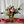 Charger l'image dans la galerie, Bouquet spécial Fête des mères (vase non inclus)
