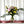 Charger l'image dans la galerie, Bouquet spécial Fête des mères (vase non inclus)
