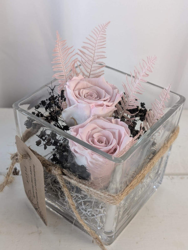 Rose éternelle Classique - Moyenne