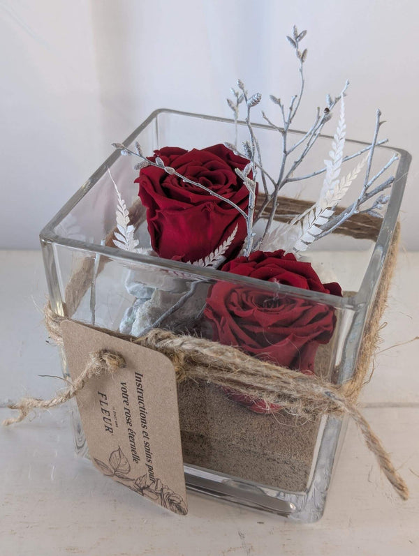 Rose éternelle Classique - Moyenne