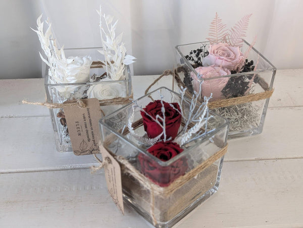 Rose éternelle Classique - Moyenne