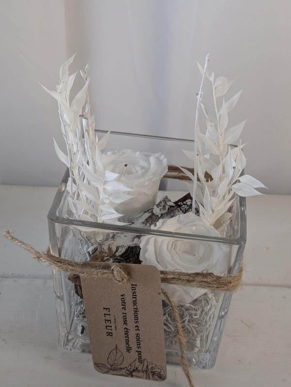 Rose éternelle Classique - Moyenne