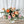 Charger l'image dans la galerie, Bouquet de 3, 6 ou 12 roses roses mélangées (Fête des mères - vase non inclus)
