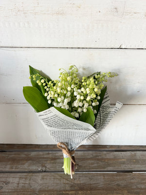 Promo de muguet