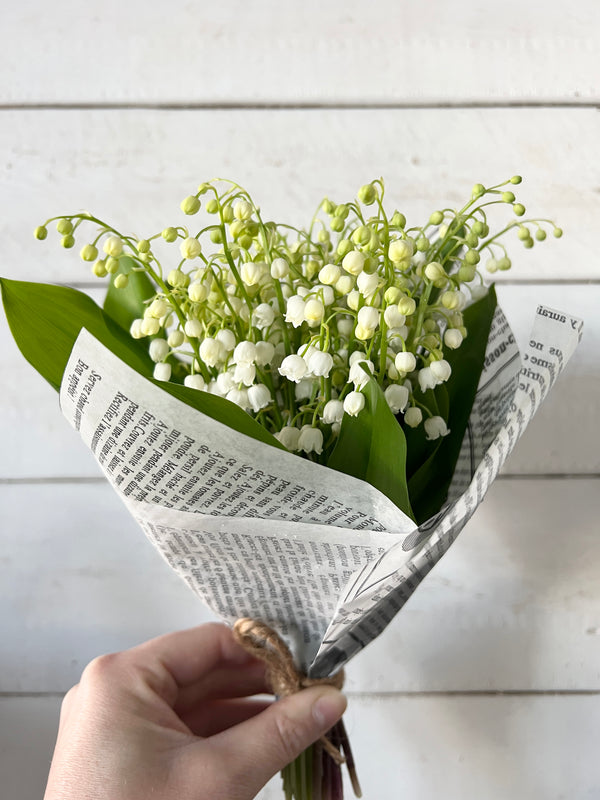 Promo de muguet
