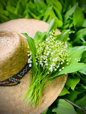 Promo de muguet