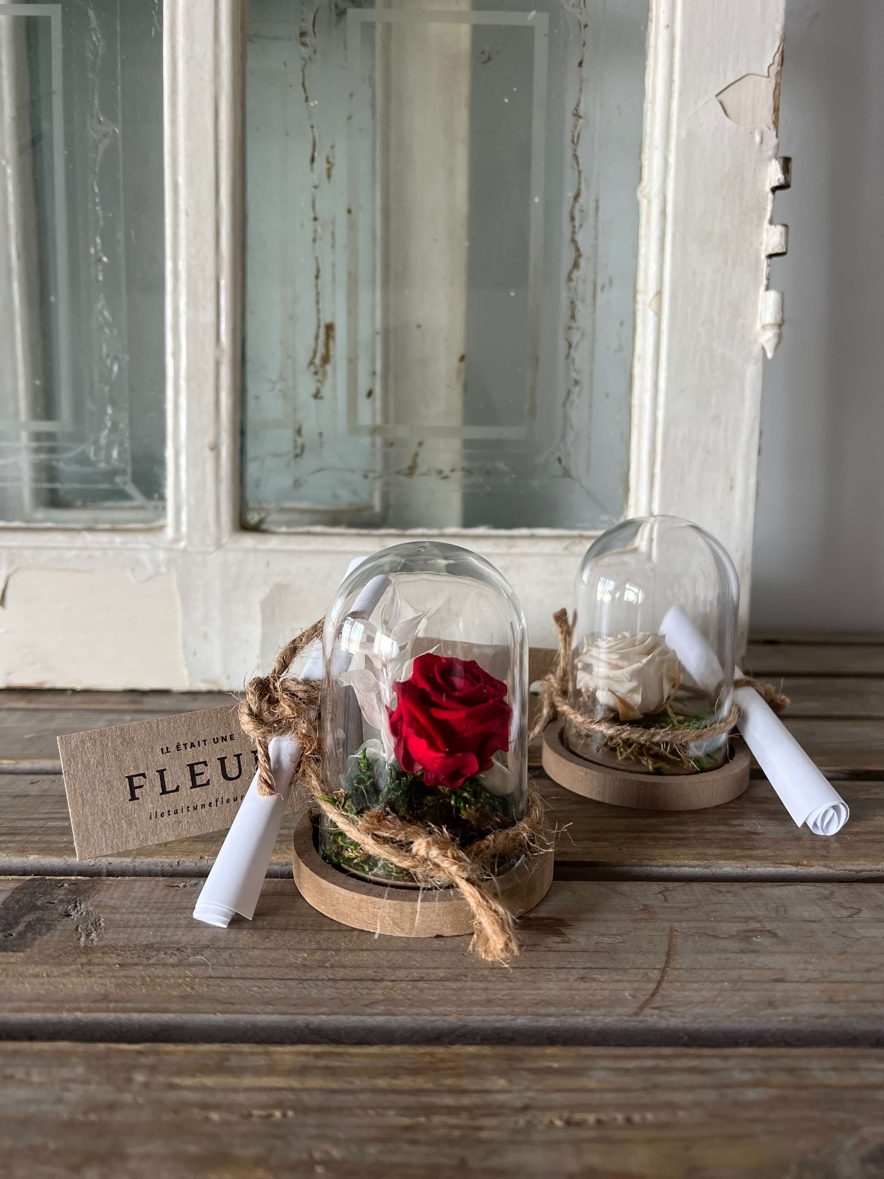 Rose éternelle suspendue rouge – Fleuriste McKenna