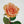 Load image into Gallery viewer, Bouquet of 3 roses
