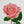 Charger l&#39;image dans la galerie, Bouquet de 3 roses
