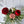 Load image into Gallery viewer, Seasonal bouquet - Valentine&#39;s Day special
