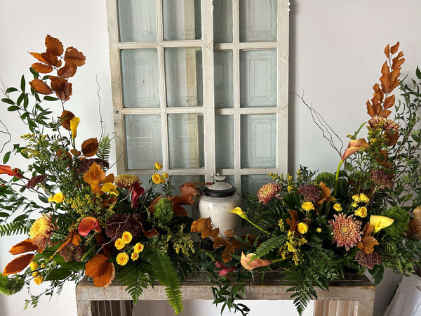 Présentoir #859 - Collection Organique