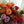 Charger l'image dans la galerie, Promo de roses (vase non inclus)

