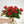 Charger l&#39;image dans la galerie, Bouquet de 12 roses
