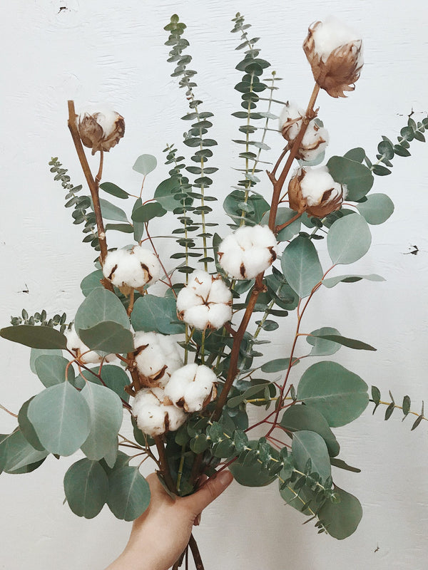 Bouquet of eucalyptus and cotton flowers