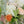 Charger l&#39;image dans la galerie, Bouquet de saison (fleurs au choix du fleuriste)
