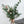 Load image into Gallery viewer, Bouquet of fir trees, eucalyptus and cotton flowers
