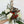 Load image into Gallery viewer, Seasonal Bouquet - Holiday Season
