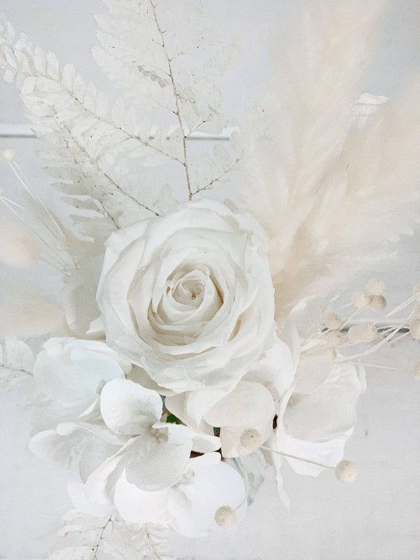 Rose éternelle - Blanca - Collection Douces nuances